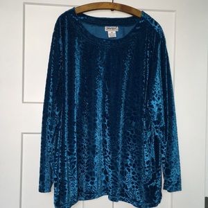 Long sleeve velvety feeling top